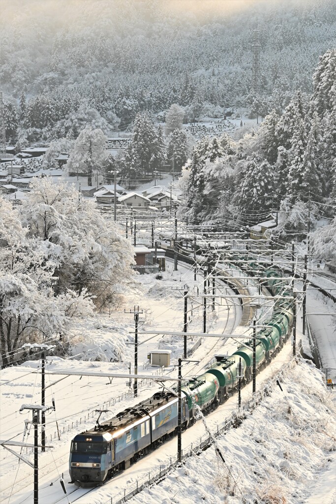 今年も雪の定番スポットから