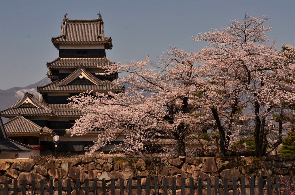 松本城
