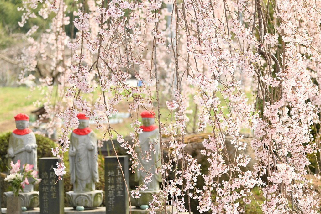周林寺２