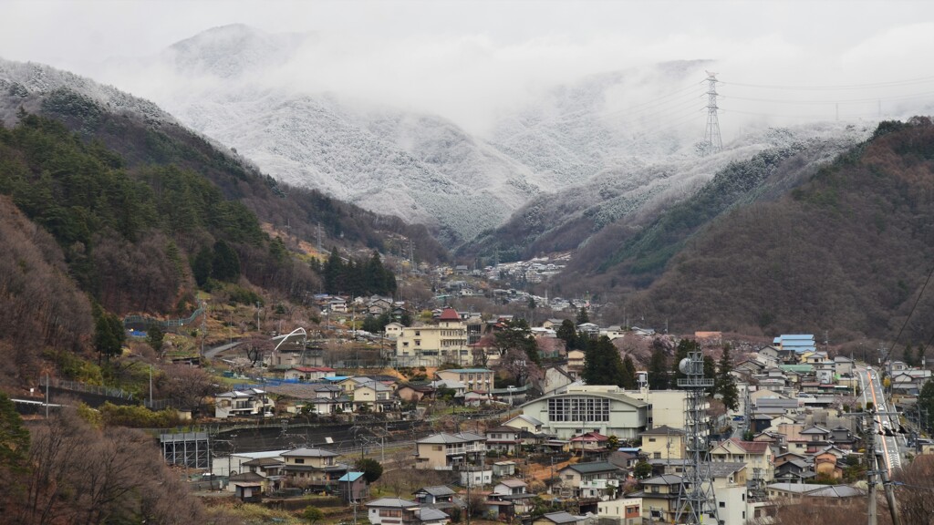 春の雪１