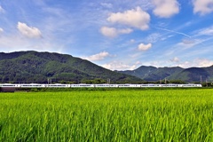 塩尻再訪