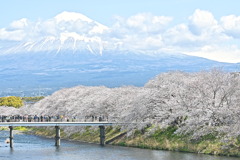 龍厳淵２