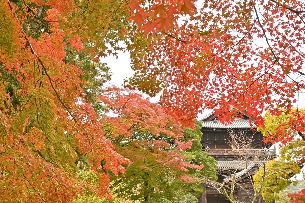 南禅寺