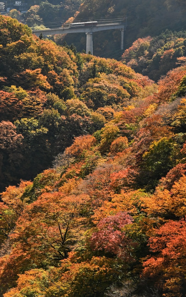 野岩鉄道4