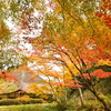 広徳寺２