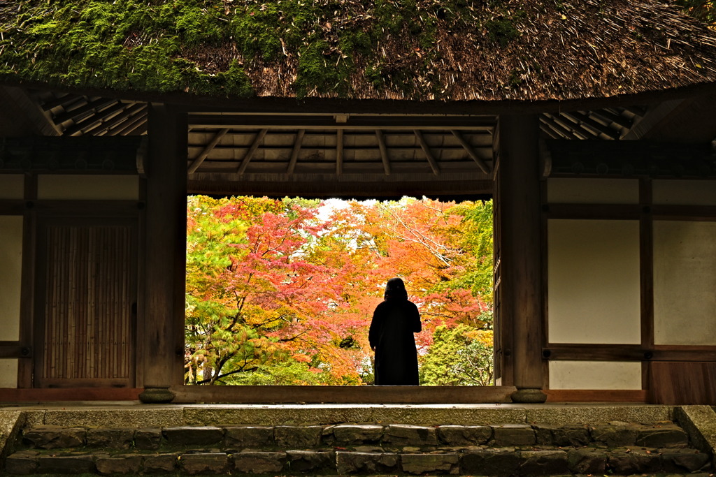 法然院１