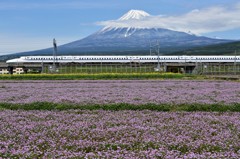 富士山＆新幹線