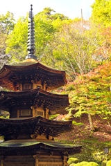 安楽寺八角三重塔