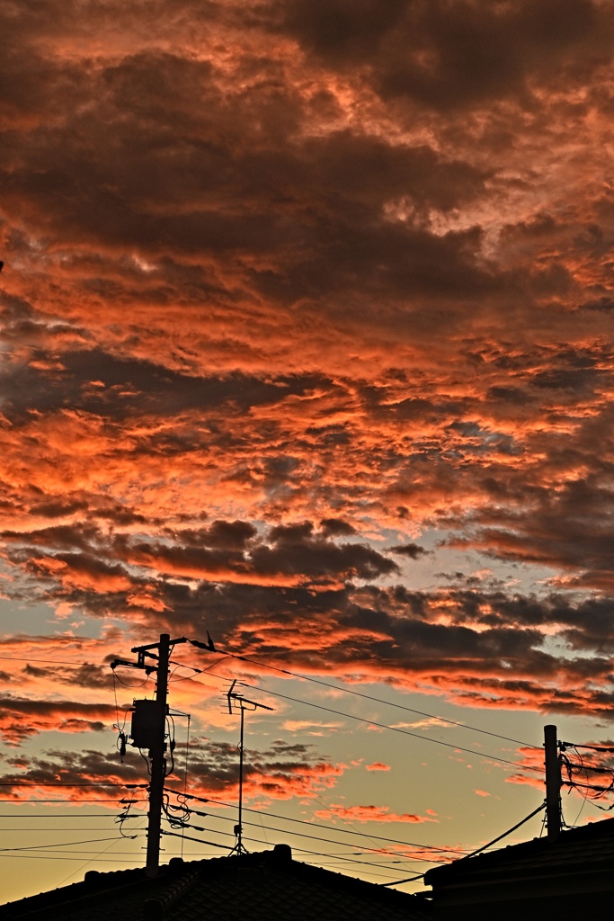 夕焼け