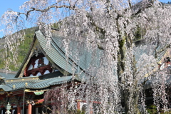 久遠寺１