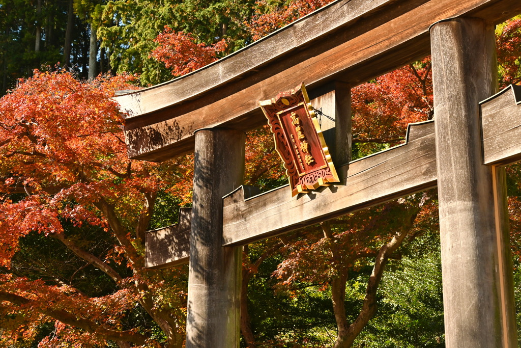 高麗神社1