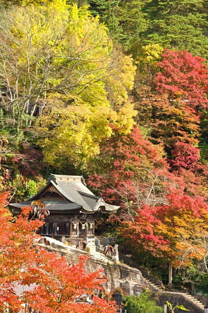 柳津虚空蔵尊 1