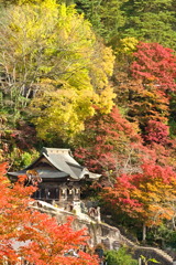 柳津虚空蔵尊 1