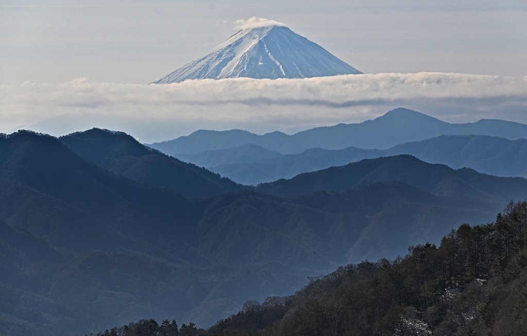 柳沢峠