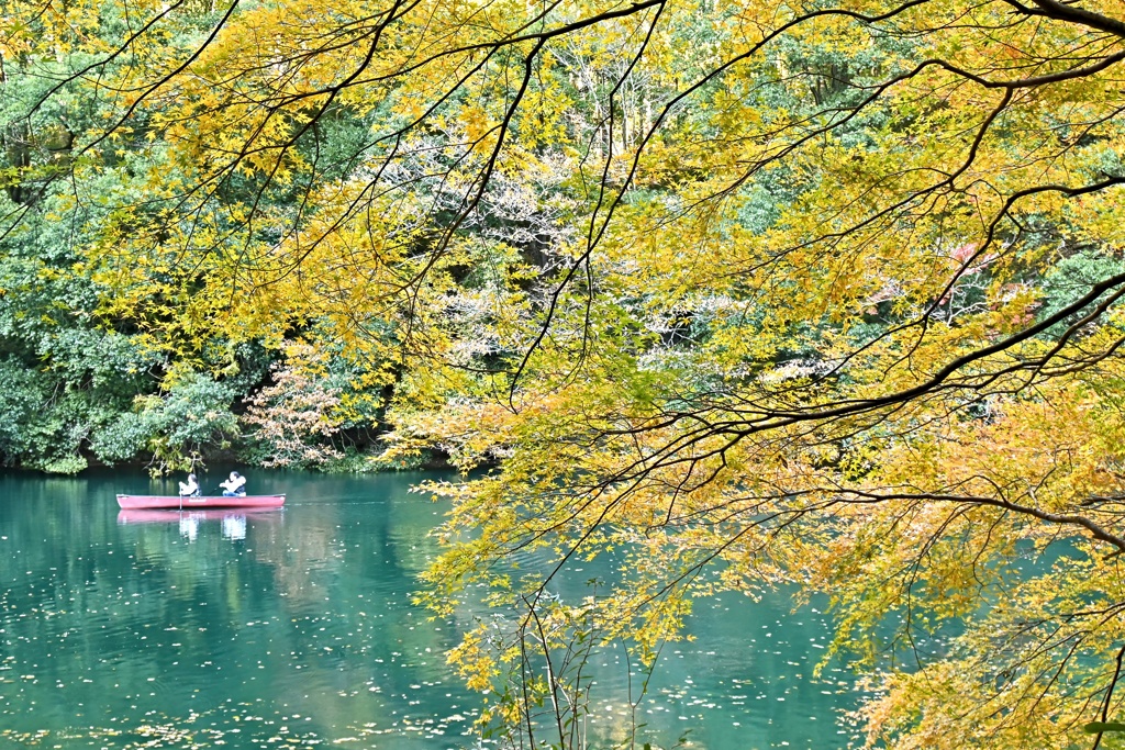 白丸湖２