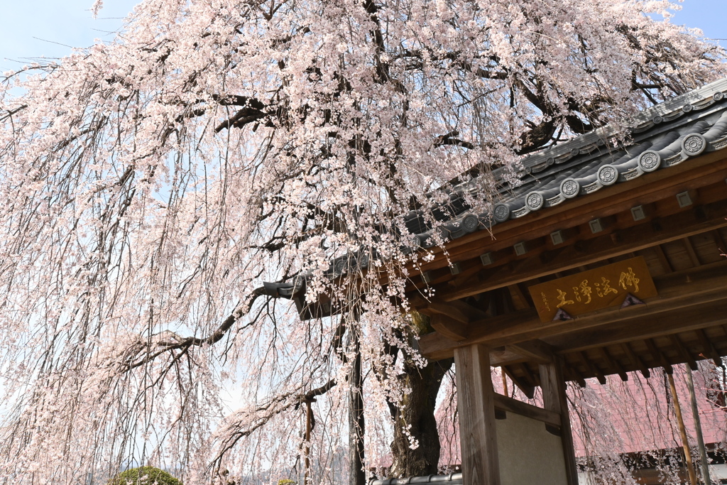 周林寺１