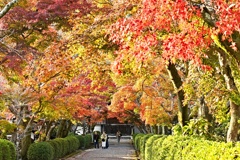 西教寺1