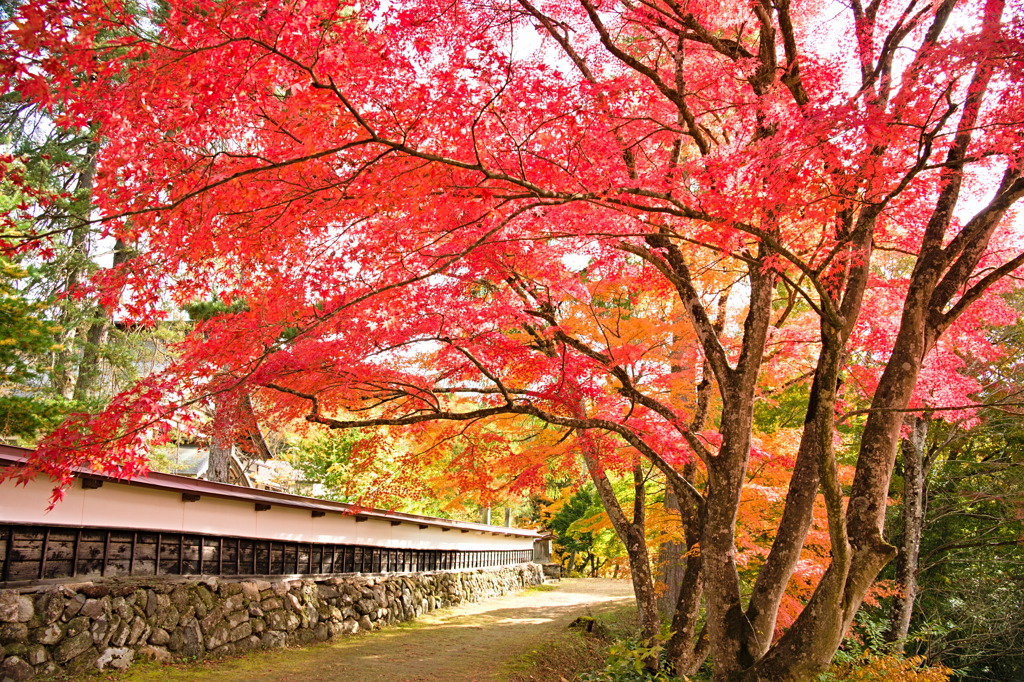 柳津虚空蔵尊 2