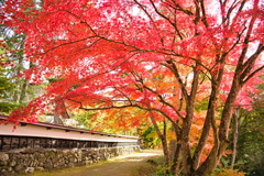 柳津虚空蔵尊 2