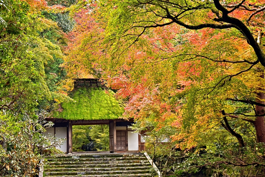 法然院２