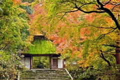 法然院２
