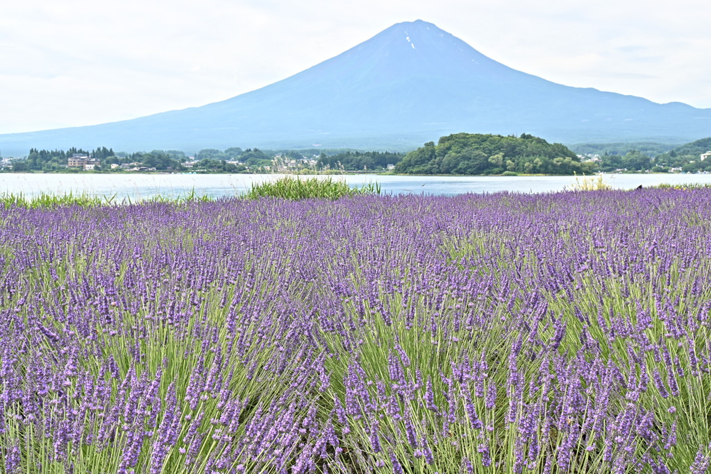 大石公園　