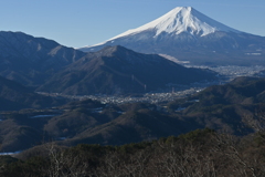 高川山からの富士山１