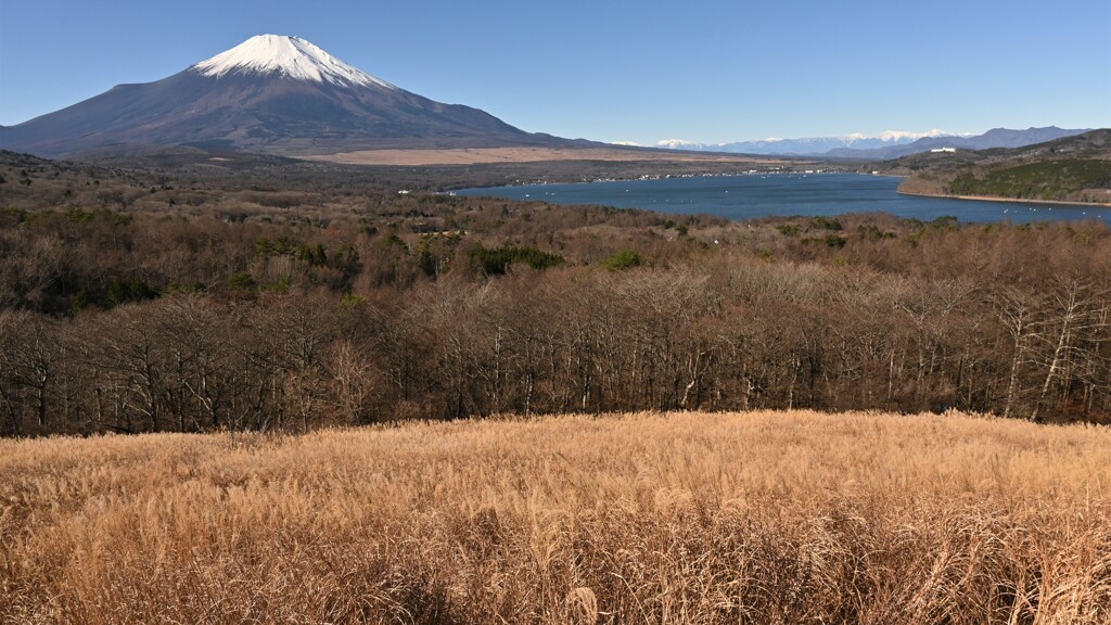 山中湖パノラマ台