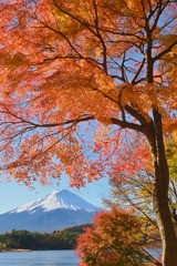 河口湖からの富士山