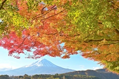 河口湖沿いからの富士山
