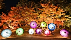 隋心院４