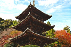 三井寺