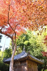 直指庵２