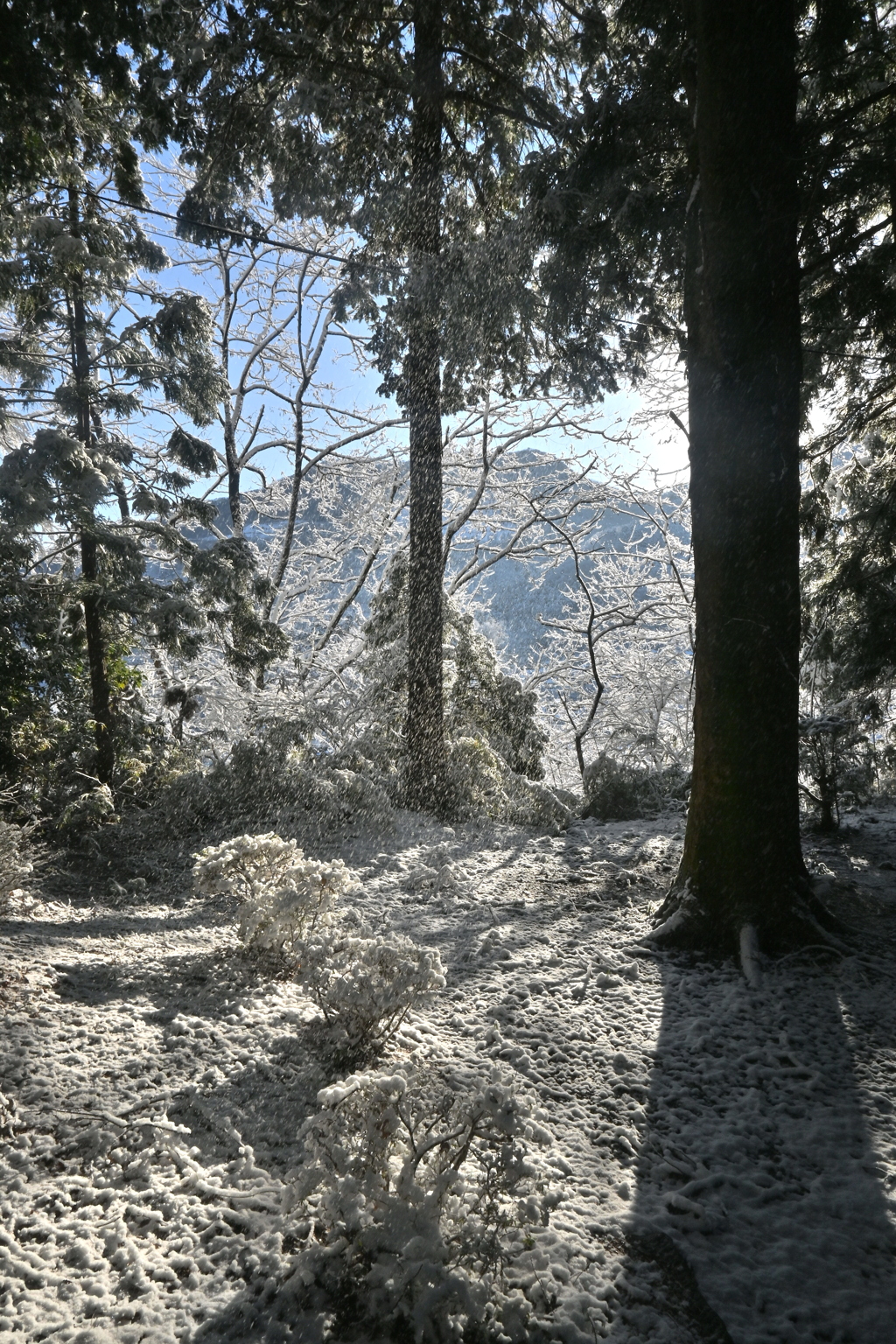 高岩四所神社２