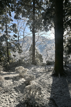 高岩四所神社２