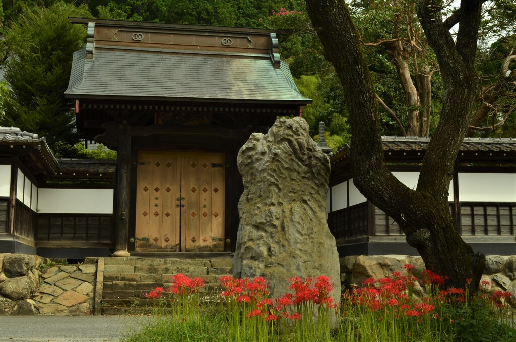 大悲願寺
