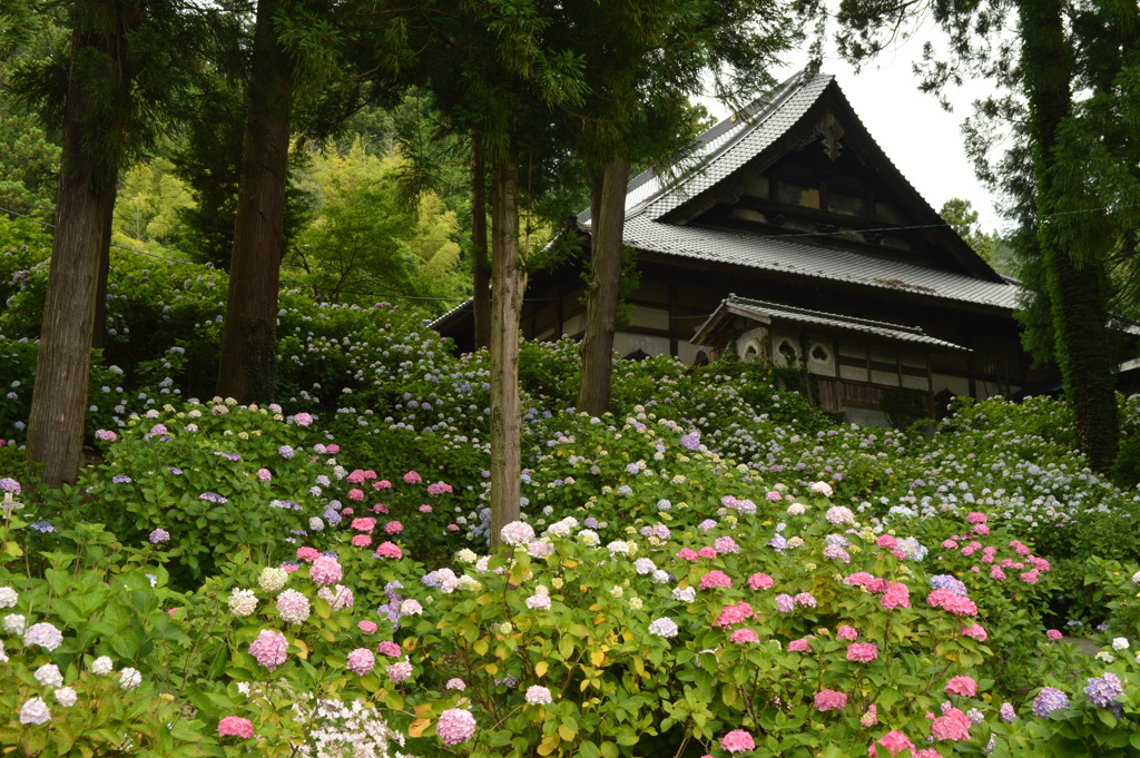 妙法寺１
