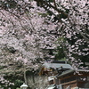 高麗神社１