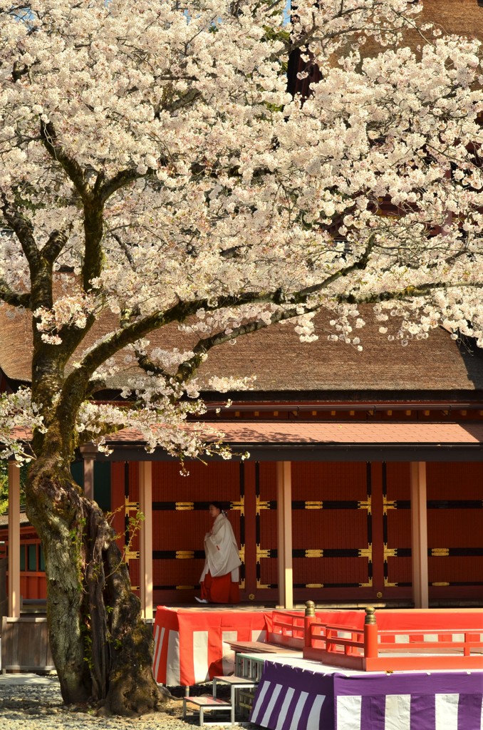 富士山本宮浅間神社