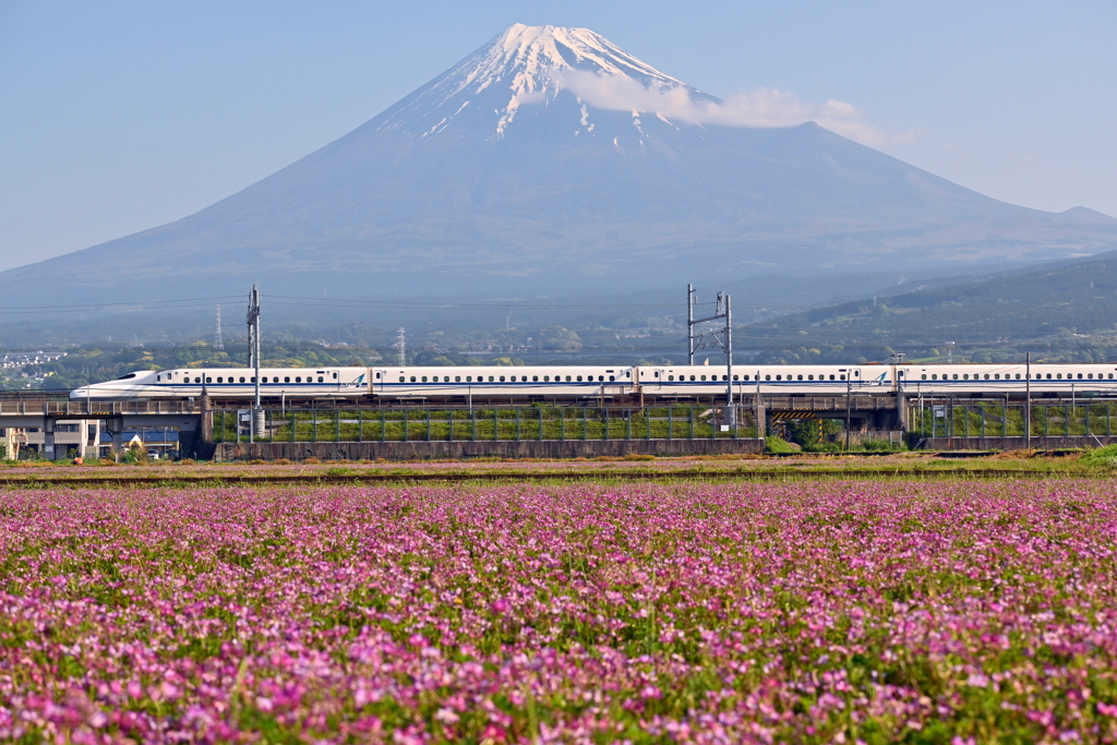 富士山&新幹線