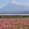 富士山&新幹線