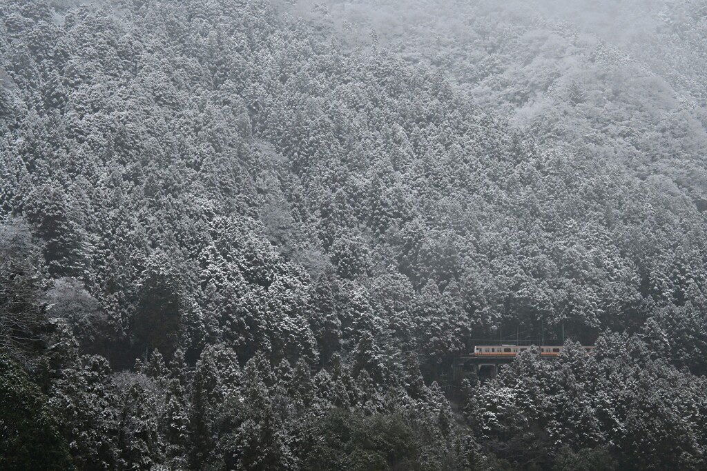 数馬峡からの青梅線