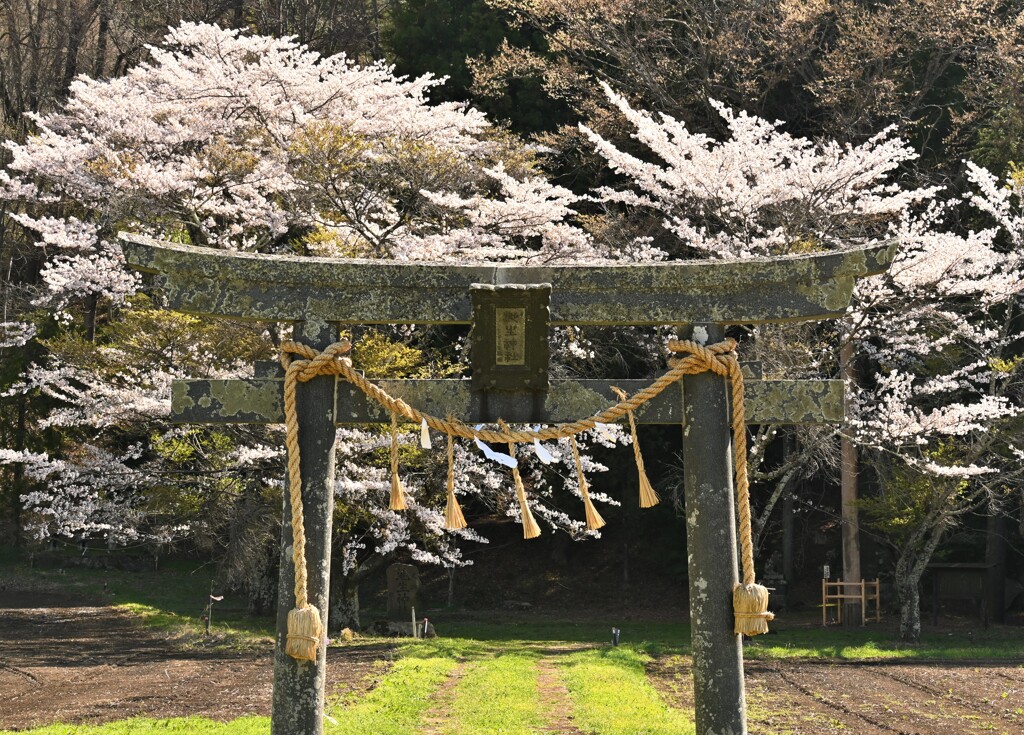池生神社