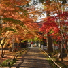 九品仏浄真寺１