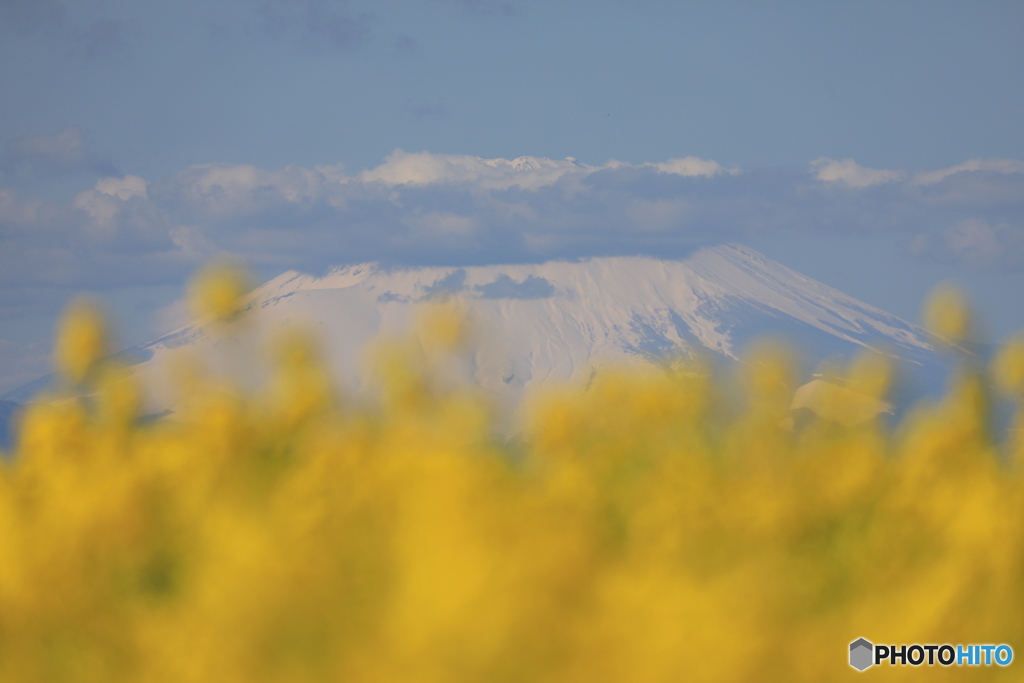 ソレイユの丘　～　富士山　～