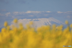 ソレイユの丘　～　富士山　～
