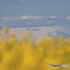 ソレイユの丘　～　富士山　～