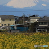 ソレイユの丘　～富士山２～