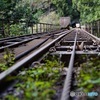 廃トロッコ