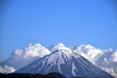 山梨から